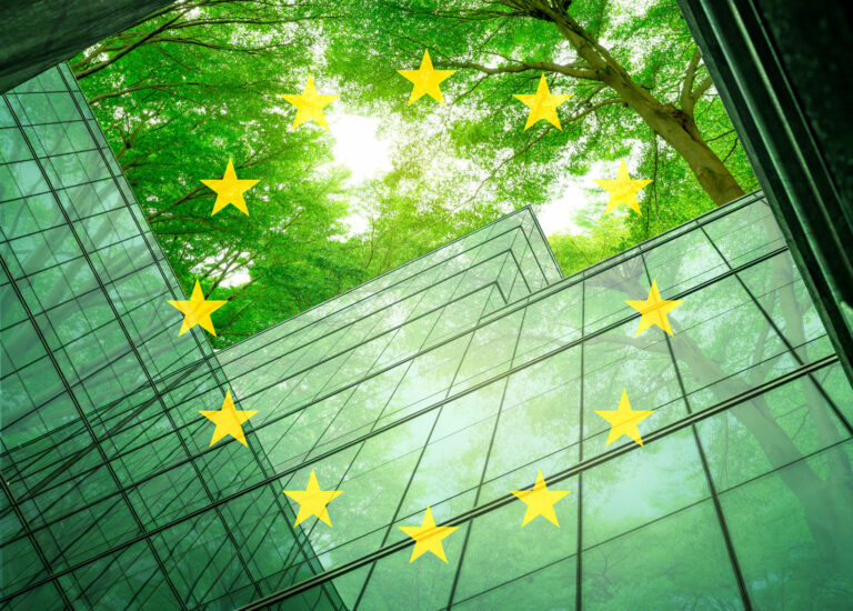 CSDDD, Corporate Sustainability Due Diligence Directive